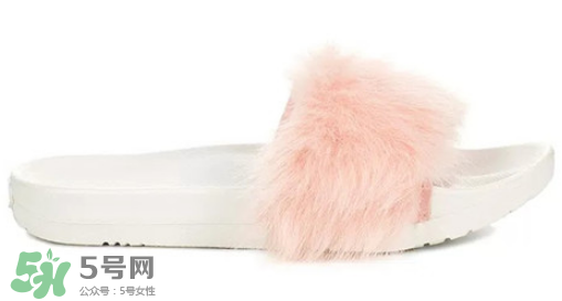 ugg royale小毛王拖鞋有哪幾種顏色？ugg小毛王拖鞋顏色有幾款？