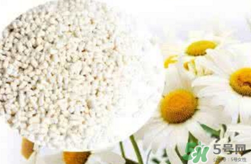 菊花晶是熱性還是涼性？菊花晶嬰兒可以喝嗎？