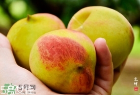 九仙桃什么時候成熟？九仙桃什么時候上市