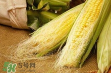 玉米須水什么人不能喝？玉米須煮水小孩能喝嗎？