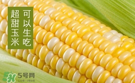 水果玉米是轉基因的嗎？水果玉米可以生吃嗎