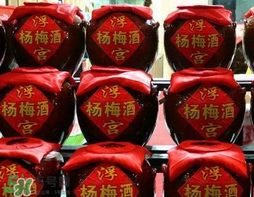 楊梅酒可以帶上高鐵嗎？楊梅酒可以帶上火車嗎？