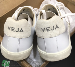 veja鞋碼偏大嗎？veja鞋子鞋碼準嗎？