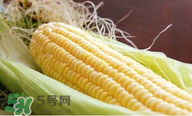 水果玉米是甜玉米嗎？水果玉米和甜玉米的區(qū)別