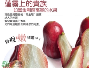黑金剛蓮霧好吃嗎？黑金剛蓮霧多少錢一斤2017？