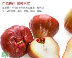 黑珍珠蓮霧多少錢一斤2017？黑珍珠蓮霧產地是哪里