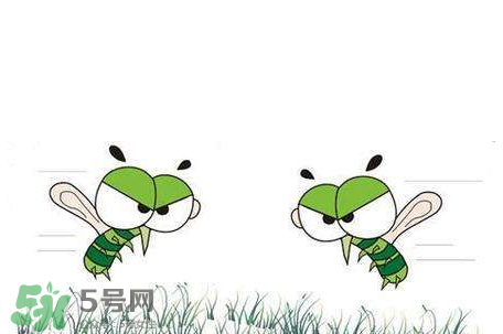 招蚊子是什么原因？招蚊子體質(zhì)怎么辦？