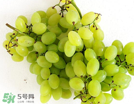 青提什么時候成熟？青提什么時候上市？