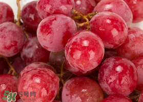 提子什么季節成熟？提子什么時候上市？