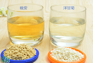 美林菊花晶一天喝幾次？美林菊花晶一天喝多少？