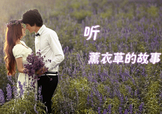 六月份還有薰衣草嗎？6月份哪里有薰衣草？