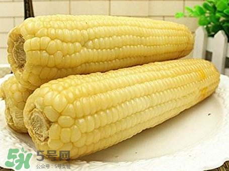 糯玉米有哪些營養？糯玉米可以減肥嗎