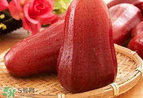 蓮霧什么季節吃最好？什么品種的蓮霧最好吃