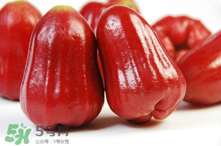 黑珍珠蓮霧多少錢一斤2017？黑珍珠蓮霧產地是哪里