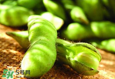 六月份可以種毛豆嗎？六月份毛豆怎么種植？