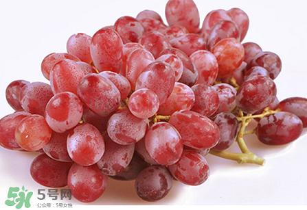 提子為什么會澀？提子澀怎么辦是沒熟嗎？