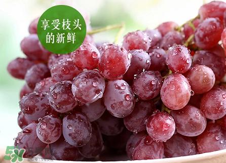 提子為什么會澀？提子澀怎么辦是沒熟嗎？