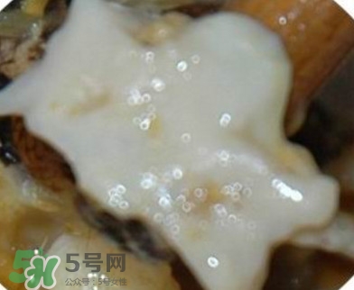 面包蟹是哪里產的？面包蟹哪里不能吃圖解
