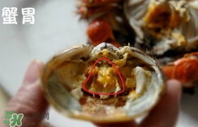 面包蟹是哪里產的？面包蟹哪里不能吃圖解