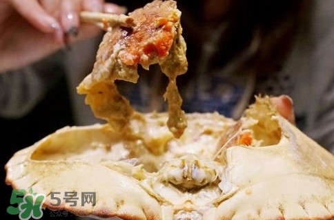 面包蟹什么季節吃最好？面包蟹什么時候最有黃