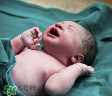 早產兒奶粉哪個牌子好？早產兒奶粉有哪些品牌？