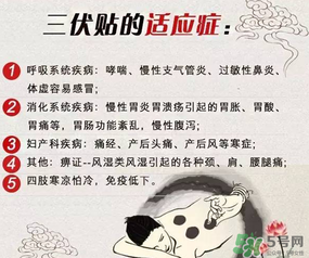 三伏貼能治什么病？三伏貼能治哪些病？