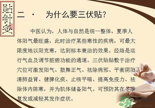 三伏貼能治什么病？三伏貼能治哪些病？