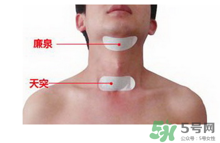 三伏貼貼在什么位置？三伏貼貼哪里？