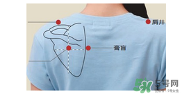 三伏貼貼在什么位置？三伏貼貼哪里？