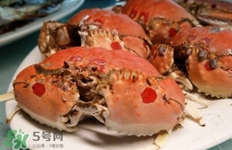 面包蟹什么季節吃最好？面包蟹什么時候最有黃