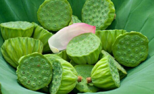 新鮮蓮子什么時候有？新鮮蓮子幾月有？