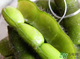 毛豆可以隔夜吃嗎？煮的毛豆隔夜還能吃嗎？