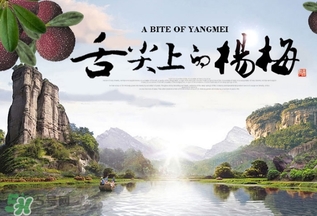 楊梅發霉了還能吃嗎？吃了發霉的楊梅會怎樣？