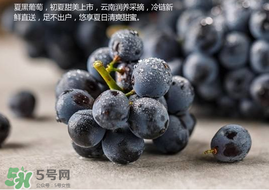 無籽葡萄孕婦能不能吃？無籽葡萄和葡萄的區別