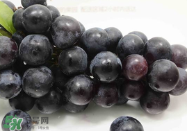 無籽葡萄孕婦能不能吃？無籽葡萄和葡萄的區別