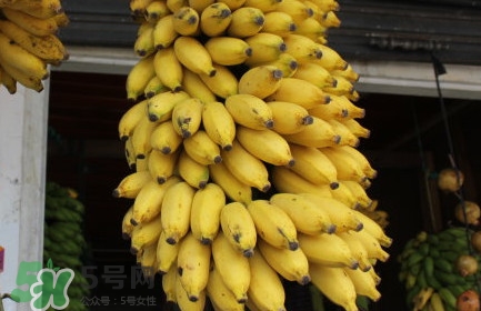 芭蕉不熟可以吃嗎？芭蕉怎么催熟