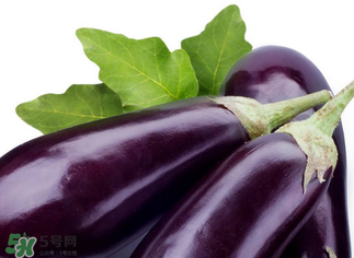 茄子怎么挑選？如何挑選茄子？