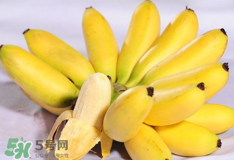 芭蕉是堿性還是酸性？芭蕉是什么季節的水果