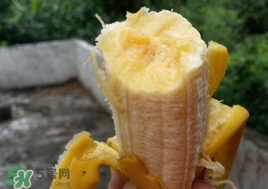 芭蕉是堿性還是酸性？芭蕉是什么季節的水果