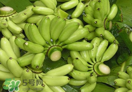芭蕉如何保存時間久？青芭蕉摘下來怎么保存