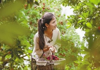 仙居楊梅在哪里？仙居楊梅哪里最好？