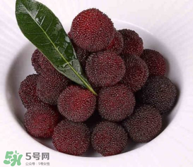 荸薺楊梅和東魁楊梅哪個(gè)好吃？荸薺楊梅跟東魁楊梅有什么區(qū)別？