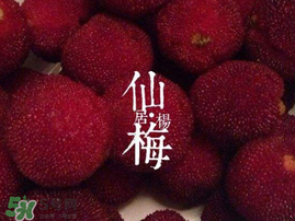 仙居楊梅多少錢一斤？仙居楊梅多少錢一斤2017？