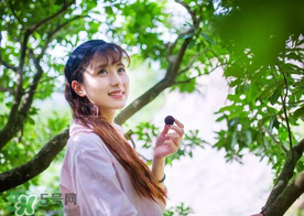 仙居楊梅在哪里？仙居楊梅哪里最好？