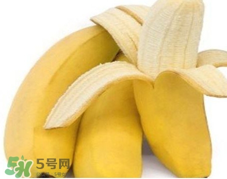 皇帝蕉多少錢一斤？2017皇帝蕉價格