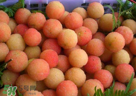白楊梅可以泡酒嗎？白楊梅泡酒有什么功效？