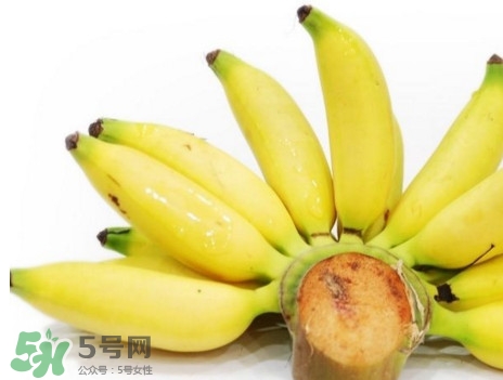 皇帝蕉是轉(zhuǎn)基因的嗎？皇帝蕉產(chǎn)地是哪里？