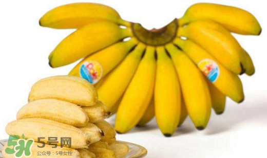 帝王蕉是芭蕉嗎？帝王蕉和芭蕉的區別