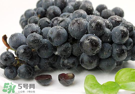 無籽葡萄有哪些品種？無籽葡萄多少錢一斤？