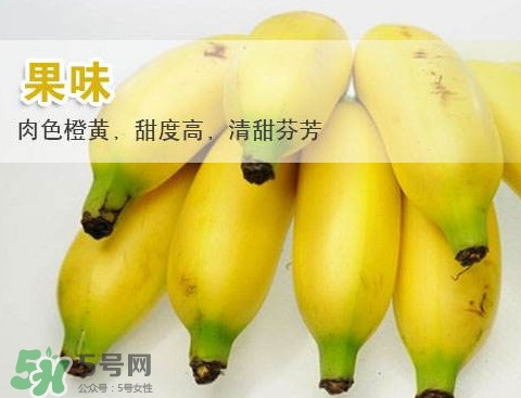 皇帝蕉多少錢一斤？2017皇帝蕉價格